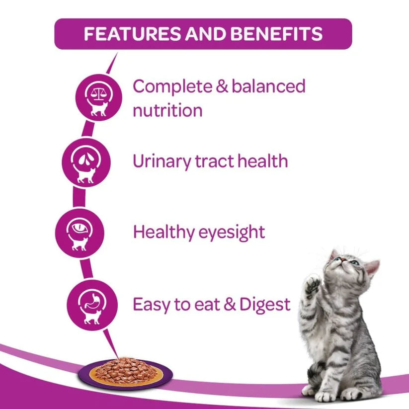 Whiskas Ocean Fish Wet Food for Adult Cats
