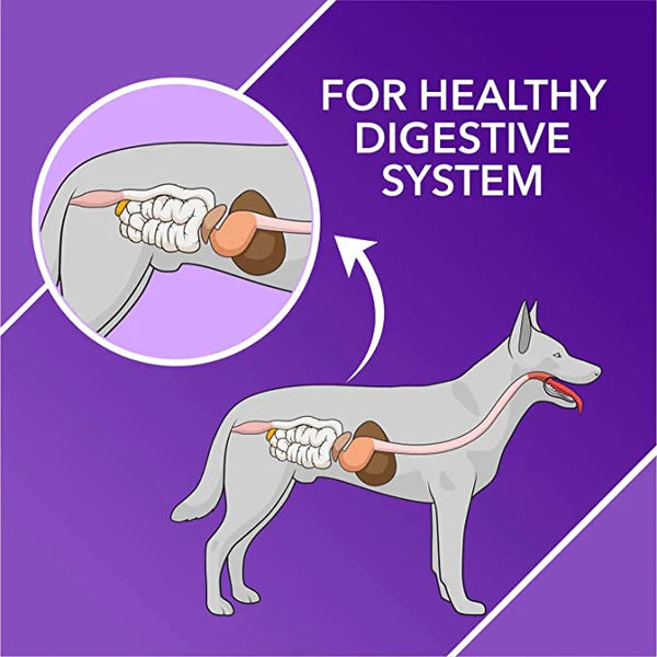 Drools Absolute Digestive Supplement Tablets for Dogs