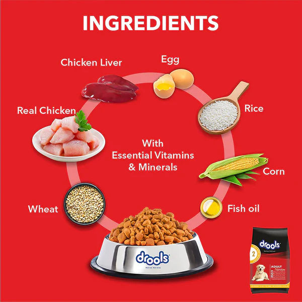 Drools Chicken & Egg Adult Dry Dog Food
