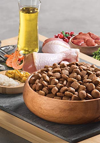 Bonacibo Super Premium Adult Chicken with Rice Dry Cat Food