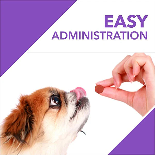 Drools Absolute Digestive Supplement Tablets for Dogs