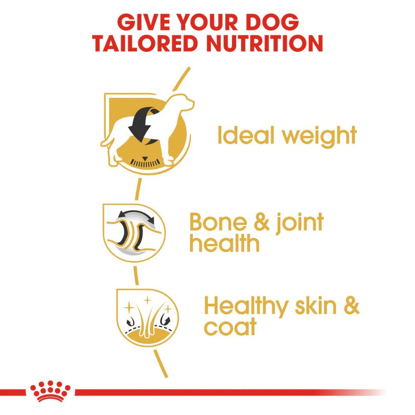 Royal Canin Labrador Adult Dry Dog Food