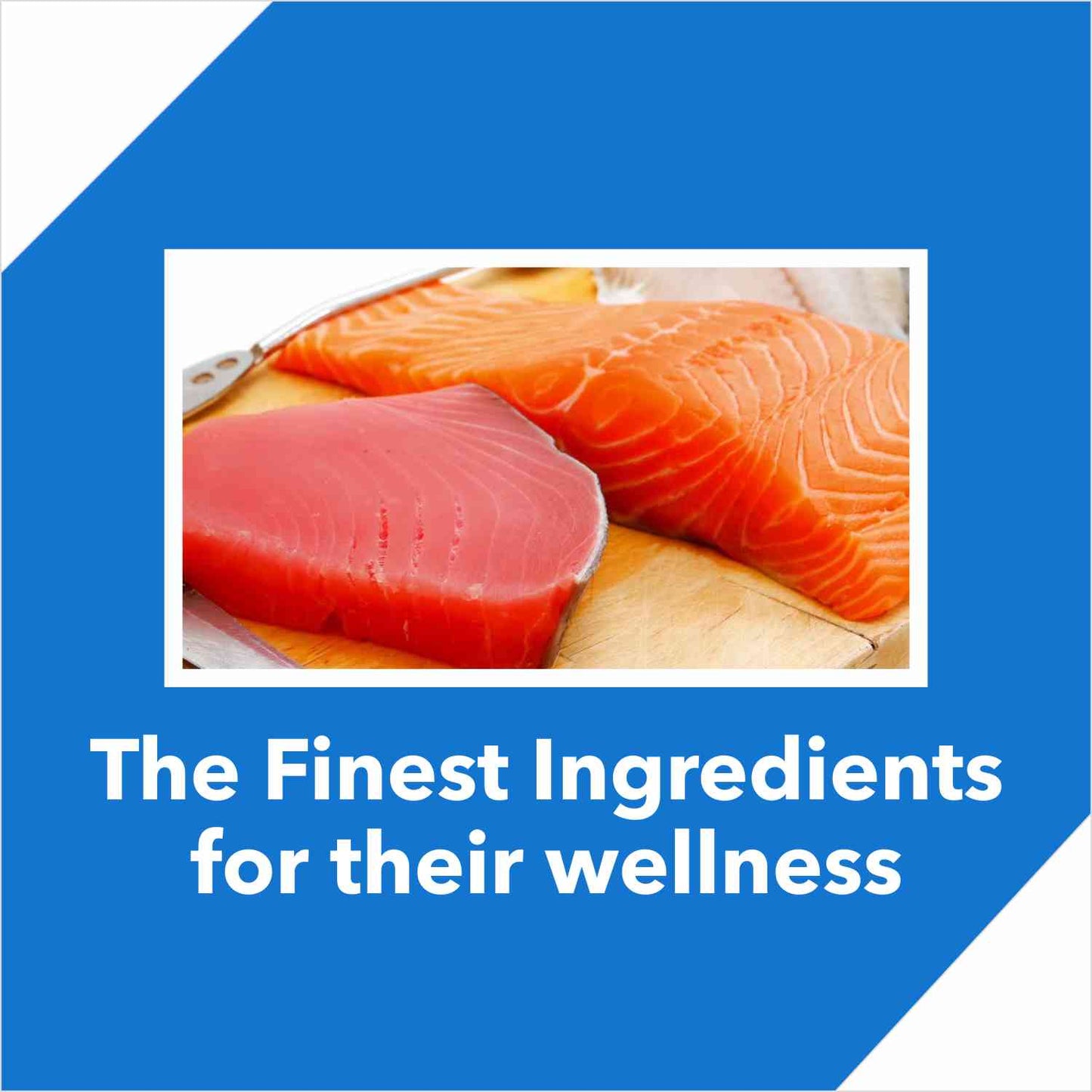 Drools Tuna & Salmon Cat Food for Adults