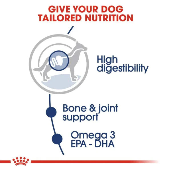Royal Canin Wet Dog Food - Maxi Adult 140 g for Large Breeds