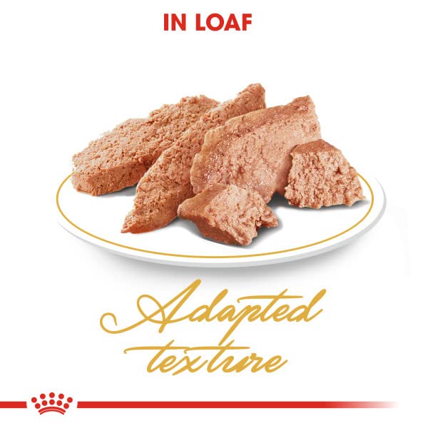 Royal Canin Persian Adult Wet Cat Food - 85g