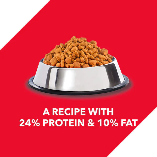 Drools Chicken & Egg Adult Dry Dog Food