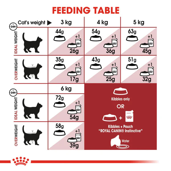 Royal Canin Fit 32 Adult Dry Cat Food