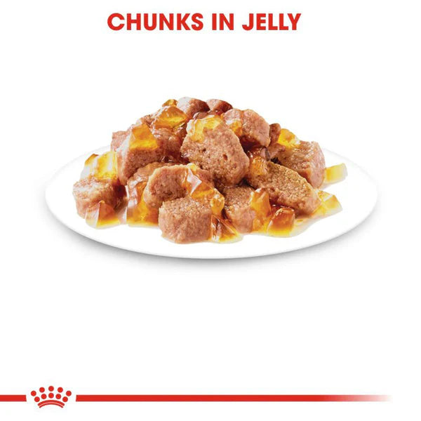 Royal Canin Kitten Instinctive Jelly Wet Food – 85g