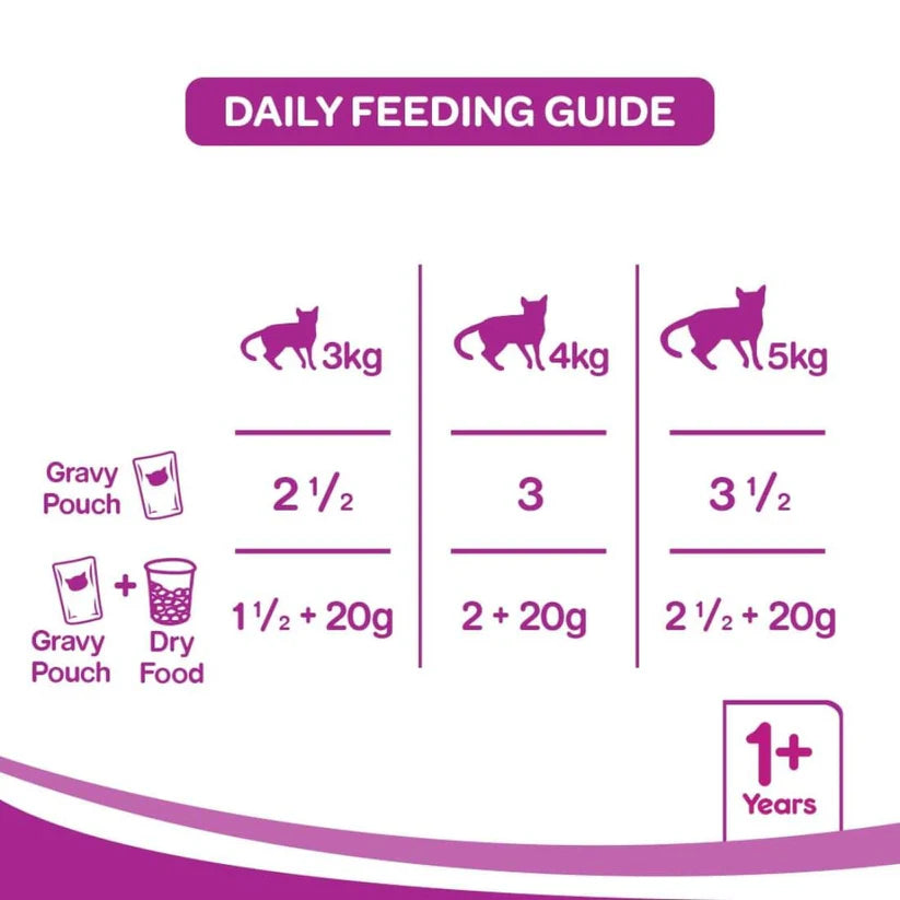 Whiskas Ocean Fish Wet Food for Adult Cats