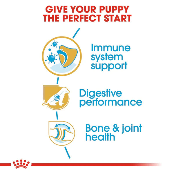Royal Canin German Shepherd Puppy Dry Dog Food