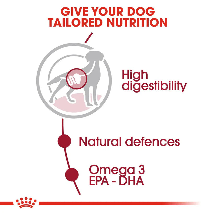 Royal Canin Medium Adult Dog Wet Food, 140 g