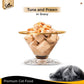 Sheba Tuna Fillet & Prawns in Gravy - Premium Wet Cat Food