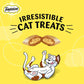Temptations Salmon Flavor Cat Treats – Irresistible & Tasty