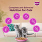 Whiskas Wet Food for Junior Kittens - Mackerel Jelly (2-12 Months)