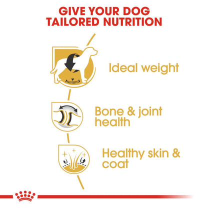 Royal Canin Labrador Adult Dry Dog Food