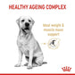 Royal Canin Labrador Retriever 5+ Adult Dry Dog Food