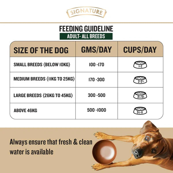 Signature Grain Zero Chicken Chunks Gravy Adult Dog Wet Food — 150 g
