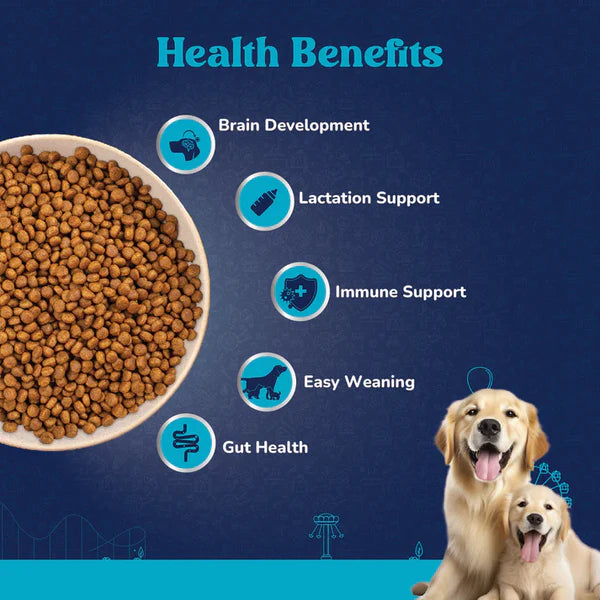 Carniwel with Fresh Chicken, Dry Dog Food for Large Dog, Starter