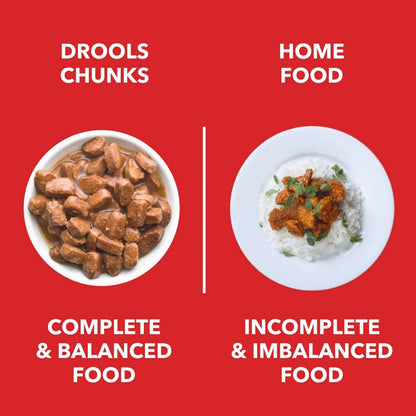 Drools Adult Dog Wet Food Real Chicken and Chicken Liver Chunks in Gravy
