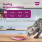 Whiskas Adult Wet Cat Food – Salmon in Gravy