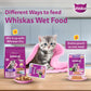 Whiskas Wet Food for Junior Kittens - Mackerel Jelly (2-12 Months)