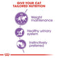 Royal Canin Sterilised 37 Adult Cat Wet Food 85g
