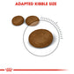 Royal Canin Hair & Skin Dry Cat Food