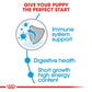 Royal Canin Medium Puppy Dog Food