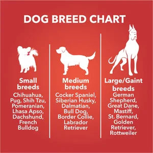 Drools Chicken and Egg Biscuit Dog Treats 400g