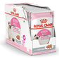 Royal Canin Loaf Wet Kitten Food — 85g